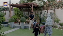 Pal Do Pal - Episode 16 - 11th August 2025